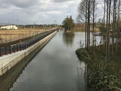 -上海长兴岛郊野公园