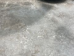 -高玛纳驴肉火烧(河间总店)