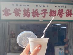 -洪馨椰子