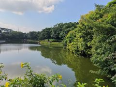 -深圳国际园林花卉博览园