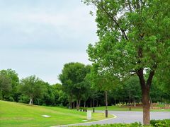 -盘龙城遗址博物院