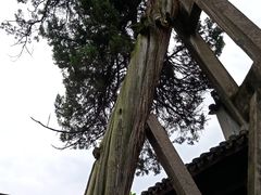 -太平天国侍王府