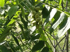 -碓臼峪自然风景区