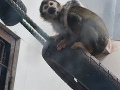 -西安秦岭野生动物园