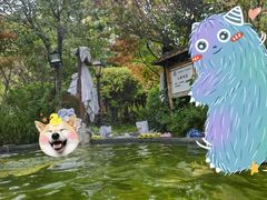 -麦积山温泉