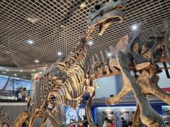 -国家自然博物馆