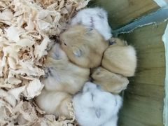-昆明大悦城未来动物城(螺蛳湾中心店)