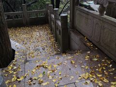 -雨花胜境