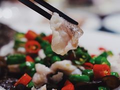 青花椒老虎斑-隆聚·时令海鲜(洪兴店)