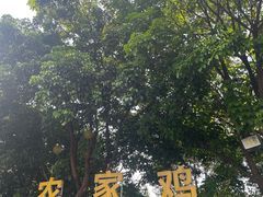 -海泉湾竹筒饭·瘦身水库大头鱼(从化温泉镇店)