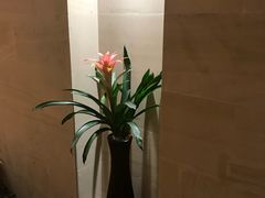 -龙之梦大酒店-健身中心