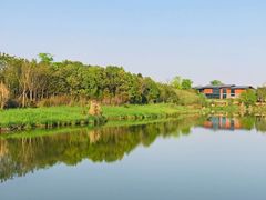 -白鹭湾湿地公园