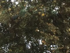 -大连天门山国家森林公园