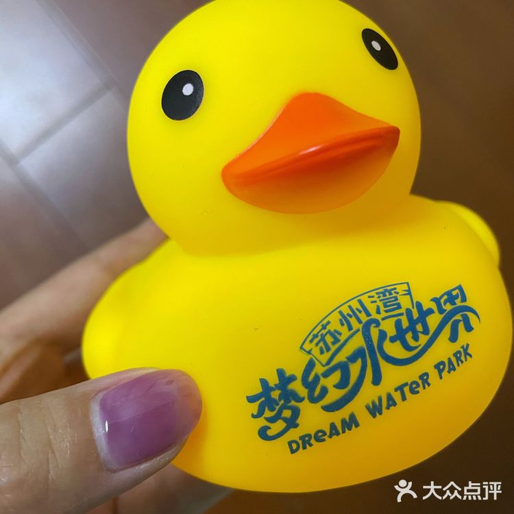 苏州湾水世界最全游玩攻略