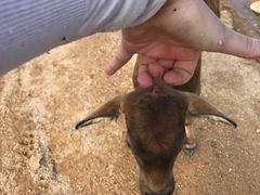 -那琴半岛地质海洋公园