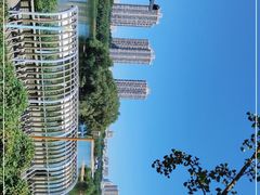 -长白岛森林公园