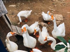 -桃源咖啡厅(武夷山大红袍山庄店)