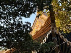 -普陀山风景名胜区-法雨禅寺