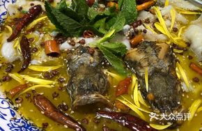 Golden Chrysanthemum with Sea Bass