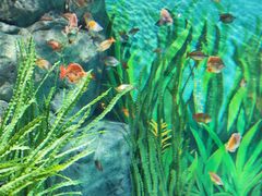 -上海海洋水族馆