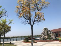 -上海都市菜园