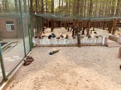 -南京金牛湖风景区