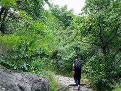 -阳台山自然风景区