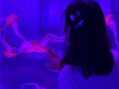 -海合安武汉极地海洋公园
