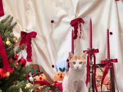 -初甜·舒芙蕾·韩式雪花冰(流塘店)