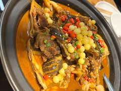 甲鱼牛蛙锅-洪湘记川湘·甲鱼馆(四海凯悦美食广场店)
