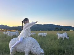 -敕勒川草原