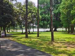 -南宁良凤江国家森林公园