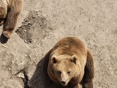 -哈尔滨北方森林动物园