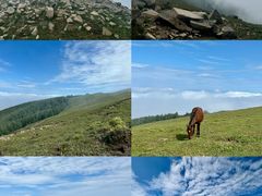 -灵山