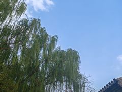 -五道营胡同