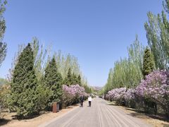 -乌素图国家森林公园