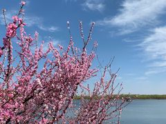 -大兴滨河森林公园