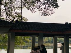 -南宁南湖公园