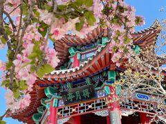 -济南大明湖景区
