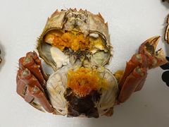 -七星龙虾城·海鲜·大闸蟹(吴江店)