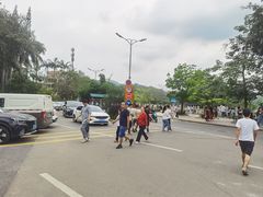 -大屏嶂森林公园