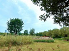 -汉长安城未央宫国家考古遗址公园