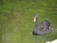 -福建鲤鱼洲酒店