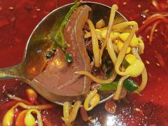 -马仕玖煲·融合菜·酥不腻烤鸭(人大店)