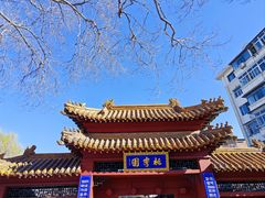 -桃花堤公园