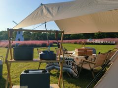 -顾村公园3号门停车场