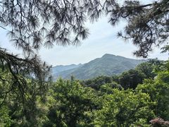 -波尔登森林公园
