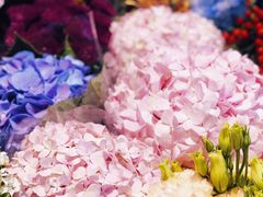 -双季花艺园艺市场(浦东店)
