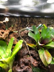 -酷嗒动物文化乐园(cutezoo西溪乐天城店)