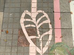 -上海鲜花港
